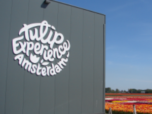 tourz tulip experience amsterdam